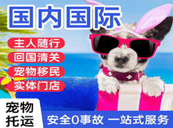 芒市航空托运国际宠物托运 【国